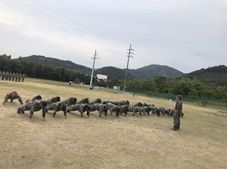 “激情熔煉團隊，凝聚成就夢醒”-誠立&邁思德2019年團建活動